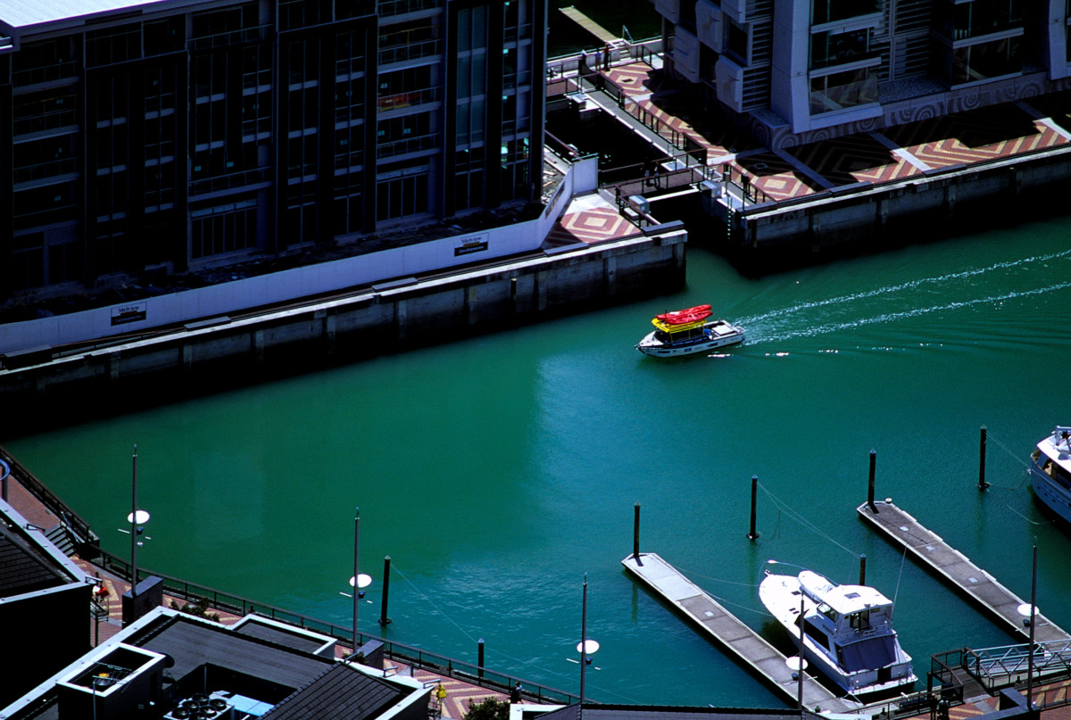 Auckland - New Zealand