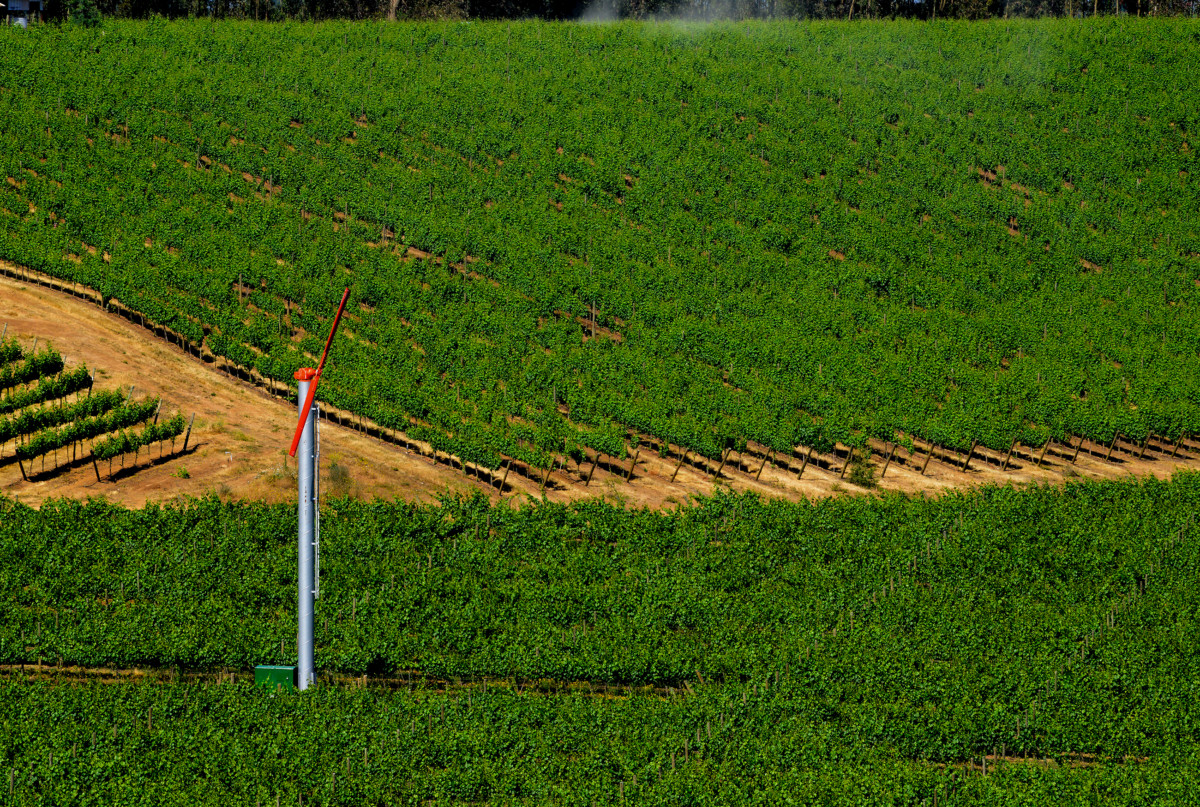 Molina - Concha y Toro
