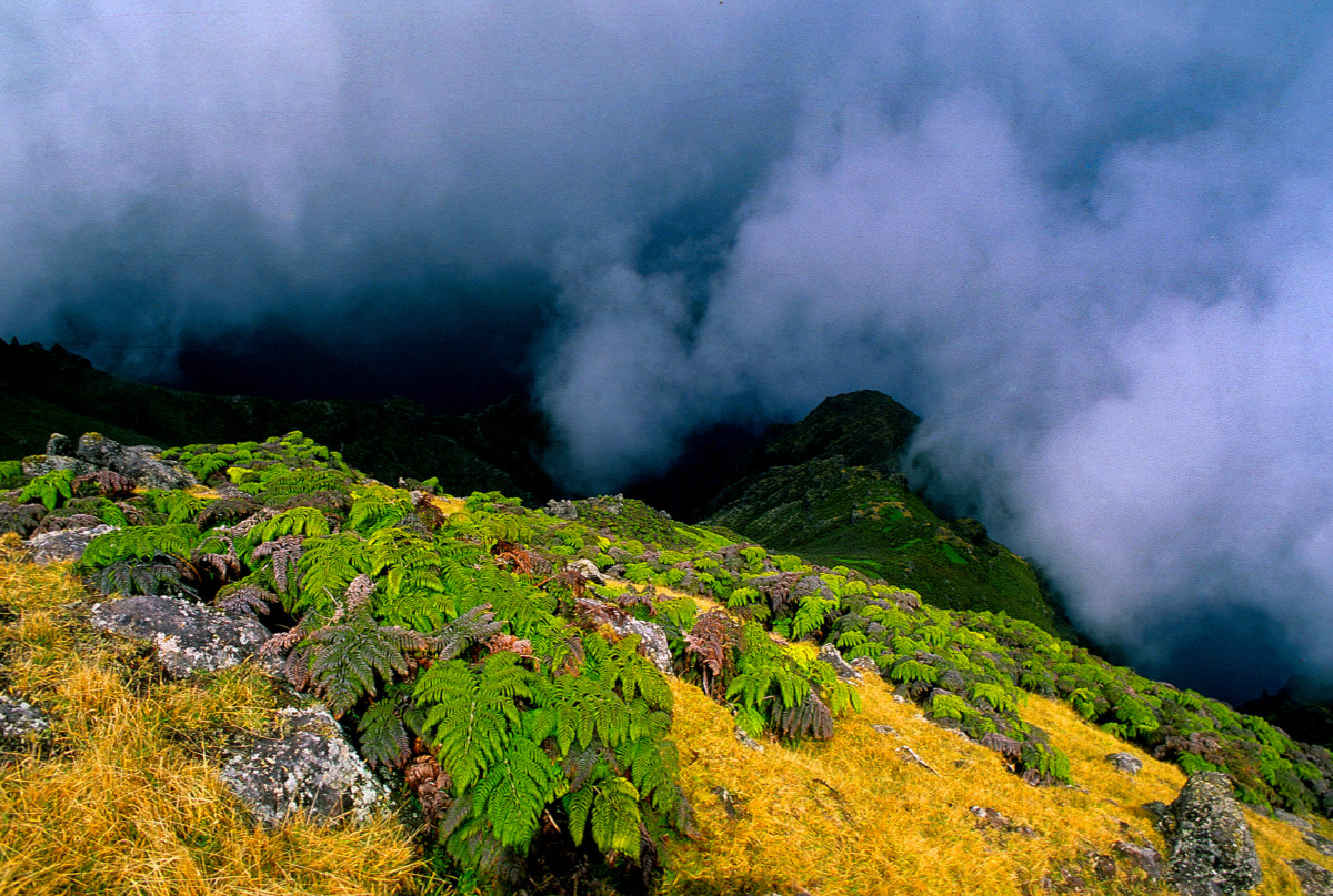 Cumbre del cerro Los Inocentes